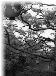 maiko photo