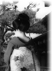 maiko photo